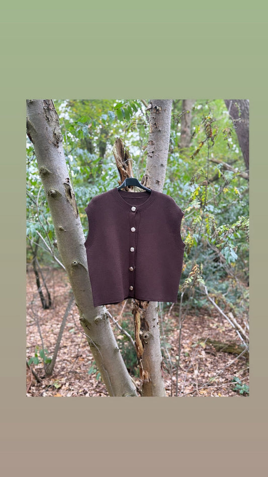 Gilet met gouden knopen - bruin